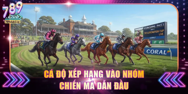 Cá độ Xếp hạng vào nhóm chiến mã dẫn đầu