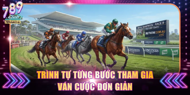 Trình tự từng bước tham gia ván cược đơn giản